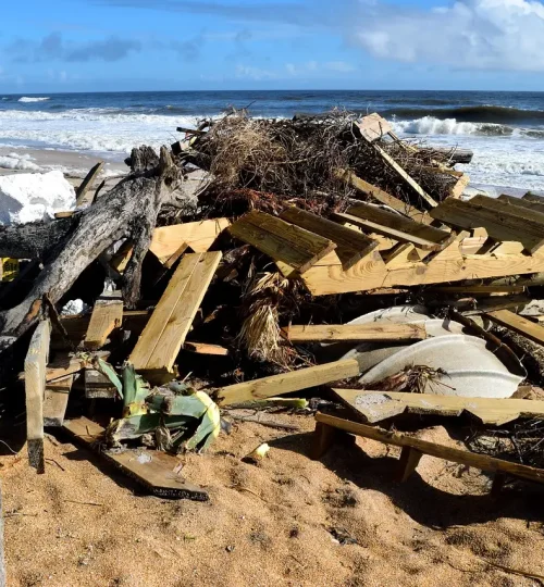 Aufräumen im Garten vor der Entrümpelung