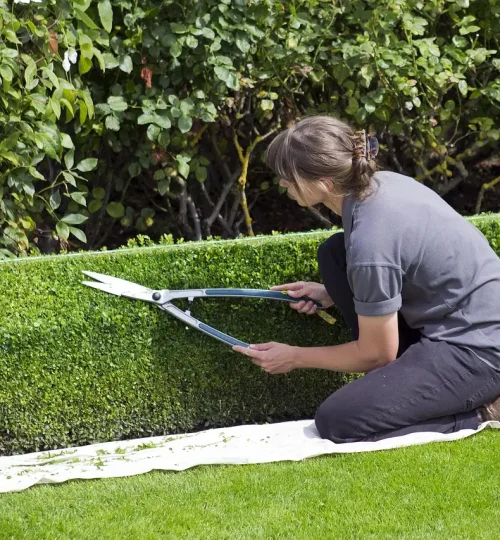 Entrümpelungsteam im Garten in Fulda