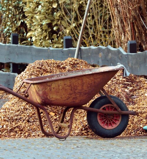 Gartenarbeit als Dienstleistung in Fulda