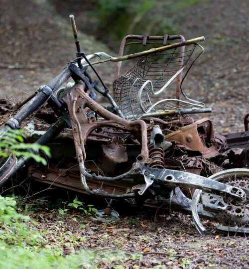 Aufräumen im Garten vor der Entrümpelung