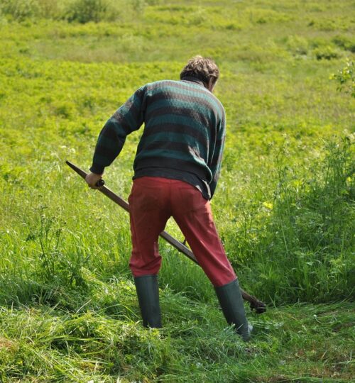 Entrümpelungsteam bei der Arbeit in Fulda