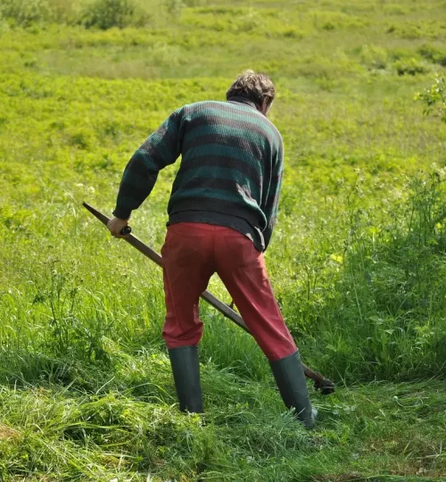 Entrümpelungsteam bei der Arbeit in Fulda